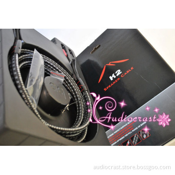 audioquest K2 speaker cable 2.5M 72V DBS